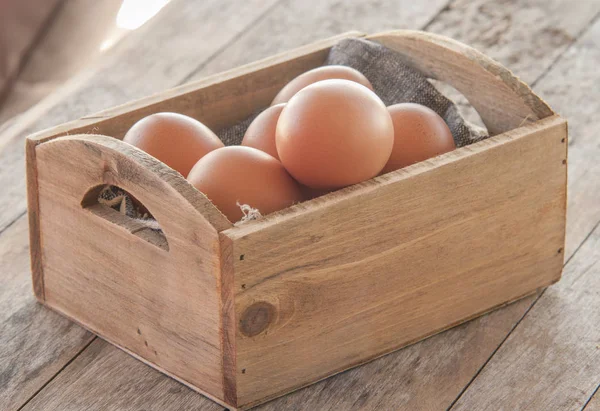 Yumurta, Tavuk Yumurtası