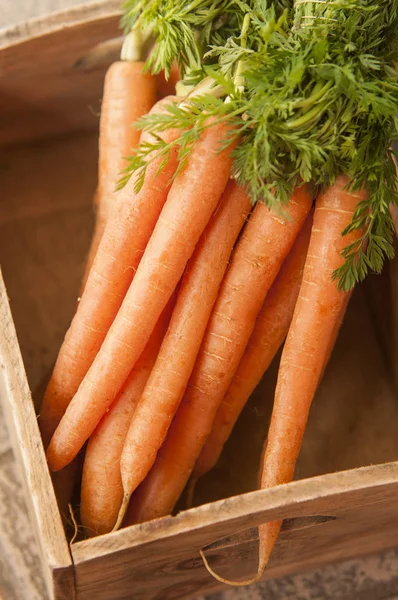Ramo de zanahorias frescas en madera — Foto de Stock
