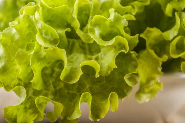 Green lettuce leaves. Lettuce leaves on wooden background. Fresh lettuce on kitchen table. Healthy organic food. — Stock Photo, Image
