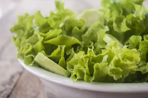 Salada verde fresca — Fotografia de Stock