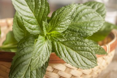 rustik ahşap zemin üzerinde taze nane