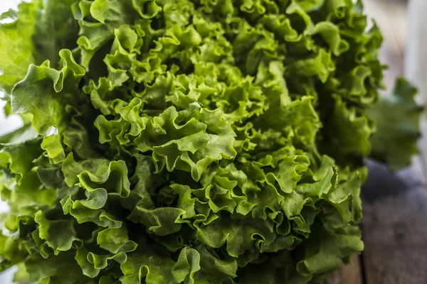 Verse groene sla salade achtergrond — Stockfoto