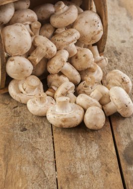 Mantar sepeti, rustik ahşap arka plan