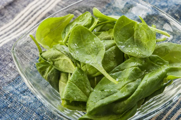 ıspanak yaprağı taze yakın çekim cam kase