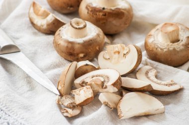 taze kahverengi mantar