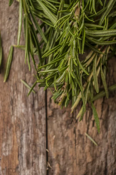 Foglie di rosmarino fresco verde — Foto Stock