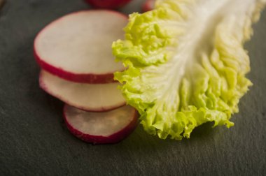 marul turp yakın çekim