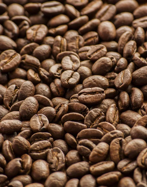 Coffee bean close up on wood — Stock Photo, Image