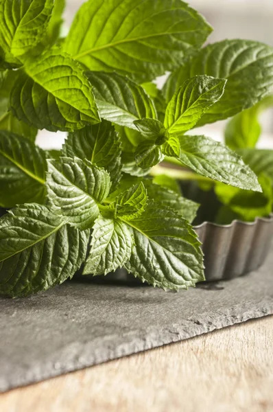 Daun mint di meja dapur — Stok Foto