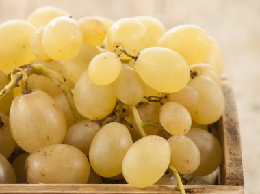 küme taze üzüm