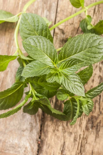 Daun mint di meja dapur — Stok Foto