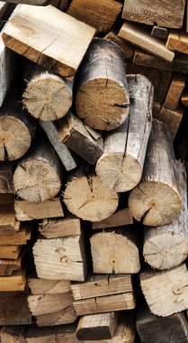 Ahşap doku arka plana sahip büyük ağaç ve küçük ağaç kesme birçok günlükleri