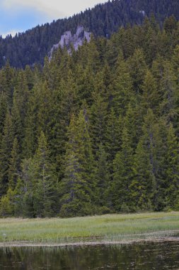 Smolyan kenti yakınlarındaki göl ve kayalar, Rodop dağları, Bulgaristan yaz mevsiminde