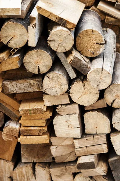 Textura de madera de fondo tienen muchos troncos que cortan de árbol grande y pequeño árbol — Foto de Stock