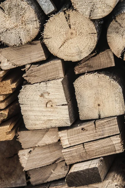 Le fond de la texture du bois a beaucoup de grumes qui coupent de gros arbres et de petits arbres — Photo