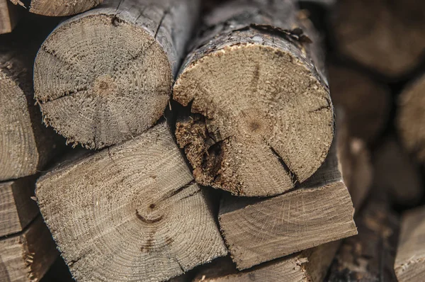 Le fond de la texture du bois a beaucoup de grumes qui coupent de gros arbres et de petits arbres — Photo