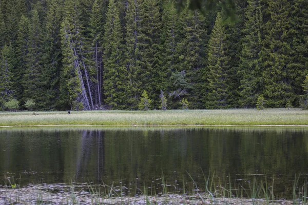 Smolyan kenti yakınlarındaki göl ve kayalar, Rodop dağları, Bulgaristan yaz mevsiminde