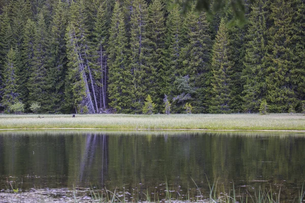 Smolyan kenti yakınlarındaki göl ve kayalar, Rodop dağları, Bulgaristan yaz mevsiminde