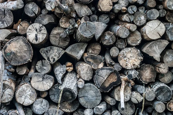 Le fond de la texture du bois a beaucoup de grumes qui coupent de gros arbres et de petits arbres — Photo