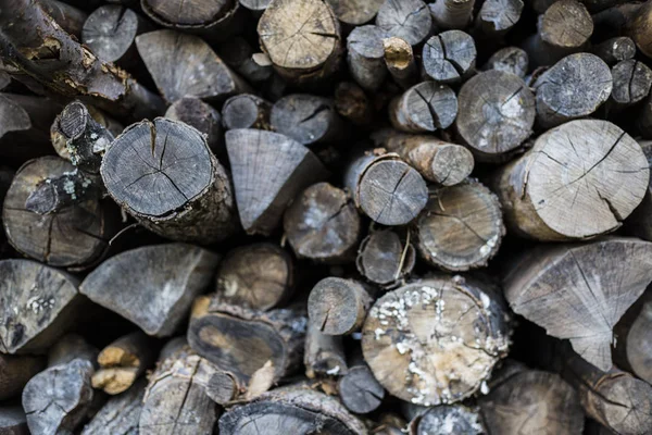 Le fond de la texture du bois a beaucoup de grumes qui coupent de gros arbres et de petits arbres — Photo