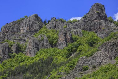 Manzara Rodop dağ, Bulgaristan
