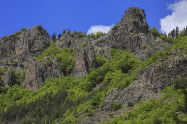 Manzara Rodop dağ, Bulgaristan