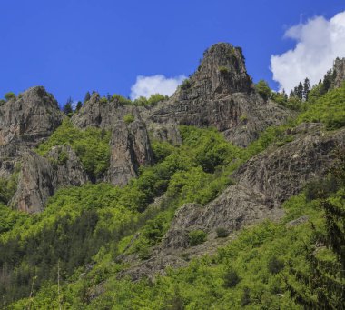 Manzara Rodop dağ, Bulgaristan