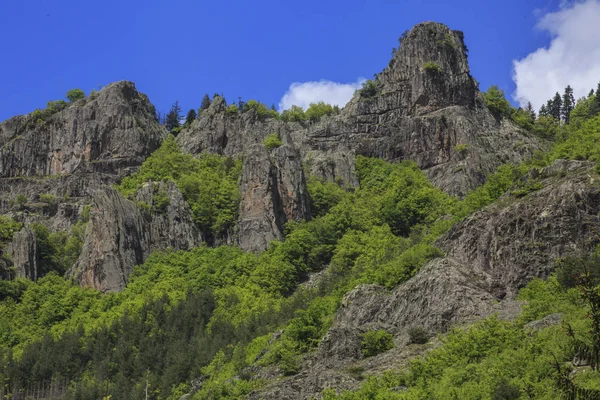 ブルガリア ロドピ山脈の風景 — ストック写真