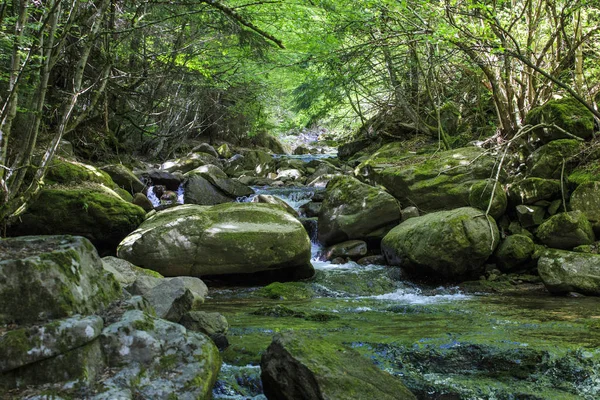 Paisagem da montanha Rhodope, Bulgária — Fotografia de Stock