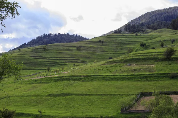 Rhodopes, Bulgaria landscape