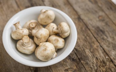 Taze şampiyon mantarları