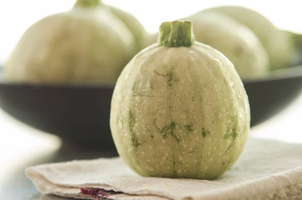 Squash zucchine midollo vegetale isolato su sfondo bianco — Foto Stock