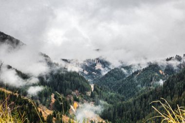 Sonbahar sahne Rodop Dağları, Bulgaristan