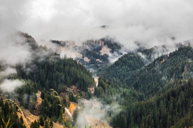 Sonbahar sahne Rodop Dağları, Bulgaristan