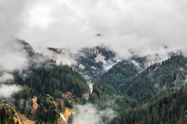 Sonbahar sahne Rodop Dağları, Bulgaristan
