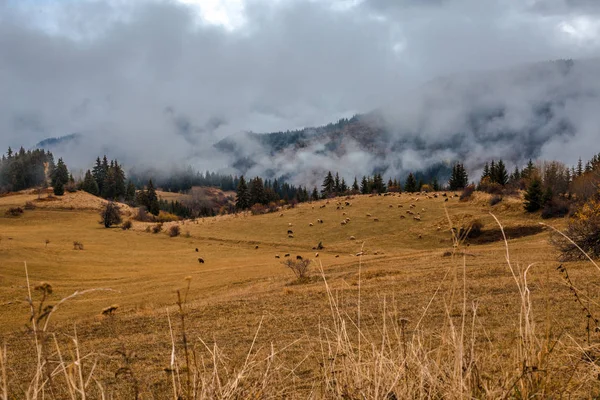 Pemandangan Musim Gugur Dari Pegunungan Rhodopi Bulgaria — Stok Foto