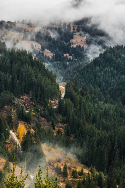 Paisaje Otoñal Las Montañas Rhodopi Bulgaria — Foto de Stock