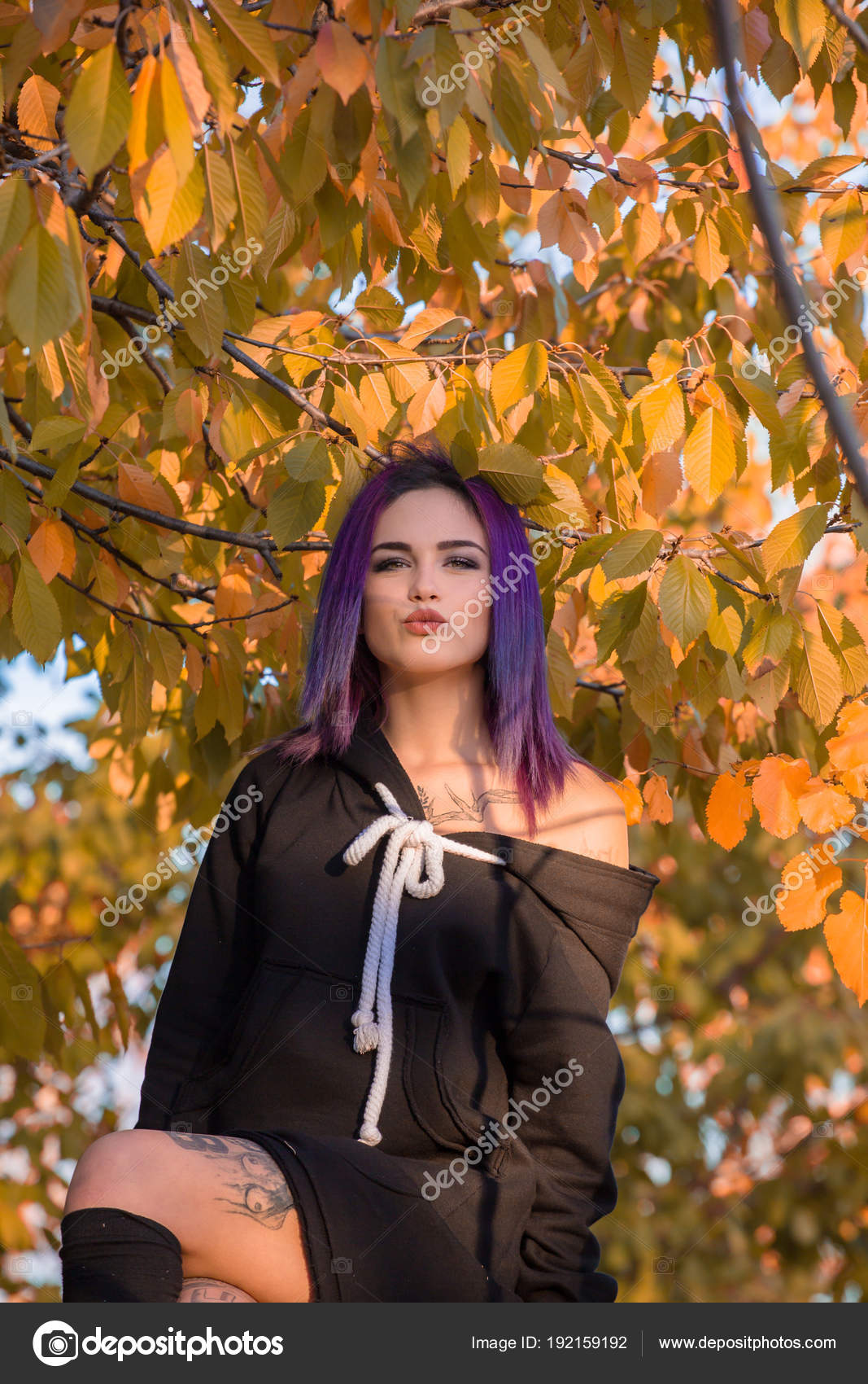 Beautiful Woman Purple Dyed Hair Wearing Black Dress Posing Autumn