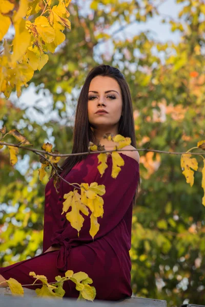 Attraktive Stolze Brünette Frau Marsala Kleid Posiert Herbstpark — Stockfoto
