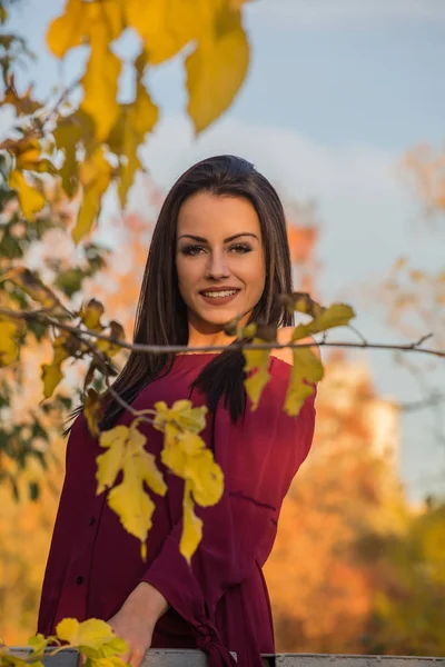 Aantrekkelijke Lachende Brunette Vrouw Marsala Jurk Poseren Herfst Park — Stockfoto