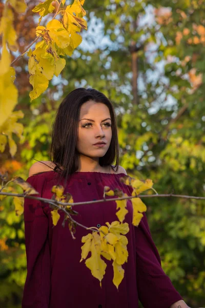 Aantrekkelijke Brunette Vrouw Marsala Jurk Poseren Herfst Park — Stockfoto