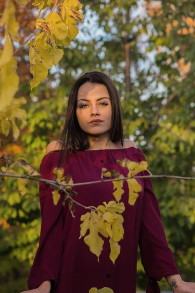 Atrakcyjny Brunetka Kobieta Marsala Sukienka Pozowanie Jesienny Park — Zdjęcie stockowe