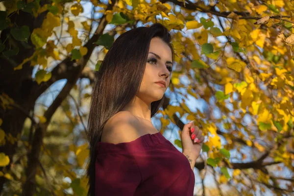 Молода Жінка Рожевій Сукні Позує Осінньому Парку — стокове фото