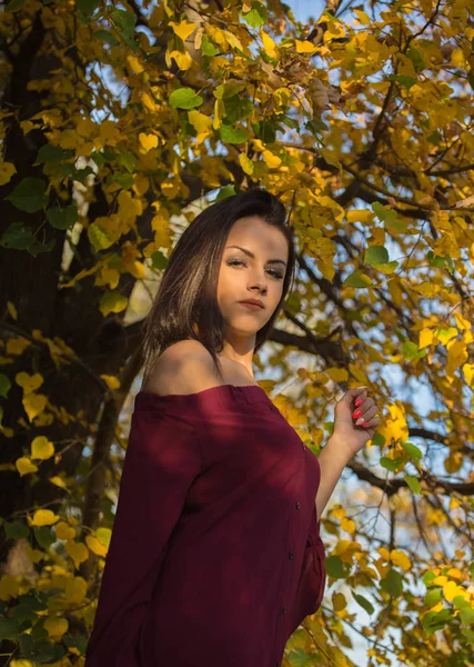 Junge Frau Rosa Kleid Posiert Herbstpark — Stockfoto