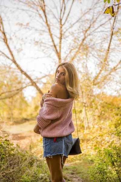 Herbstporträt Einer Frau Mit Rosa Pullover — Stockfoto