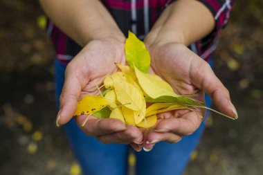 Elinde bir demet sonbahar yaprağı tutan kadın.