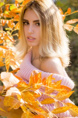 Pembe kazaklı güzel sarışın kadın parkta poz veriyor. Arka planda sarı yapraklar, sonbahar konsepti. 