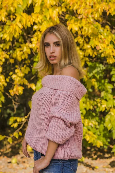 Bela Jovem Loira Suéter Rosa Posando Parque Com Folhas Amarelas — Fotografia de Stock