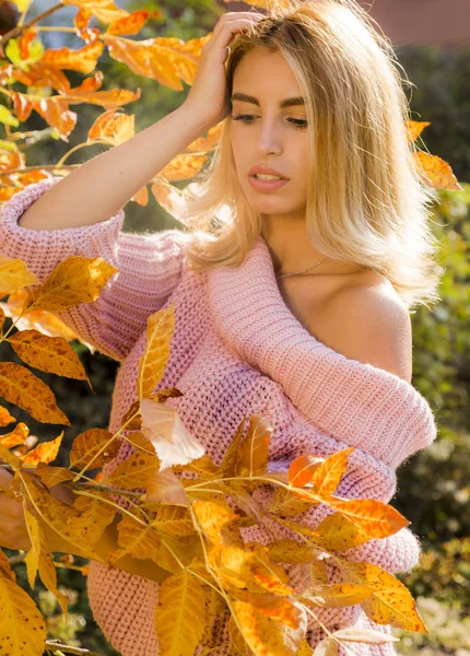 Красива Молода Блондинка Рожевому Светрі Позує Парку Жовтим Листям Фоні — стокове фото