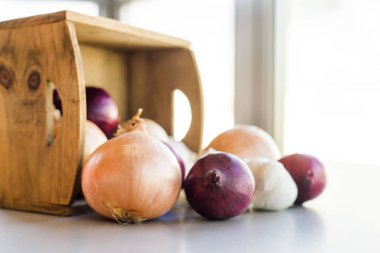 Soğan ailesi kırmızı soğan sarımsağı. Yaklaş.